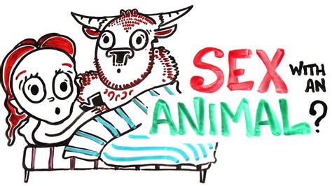 獣姦 セックス|人が動物とセックスすると何が起きるのか？